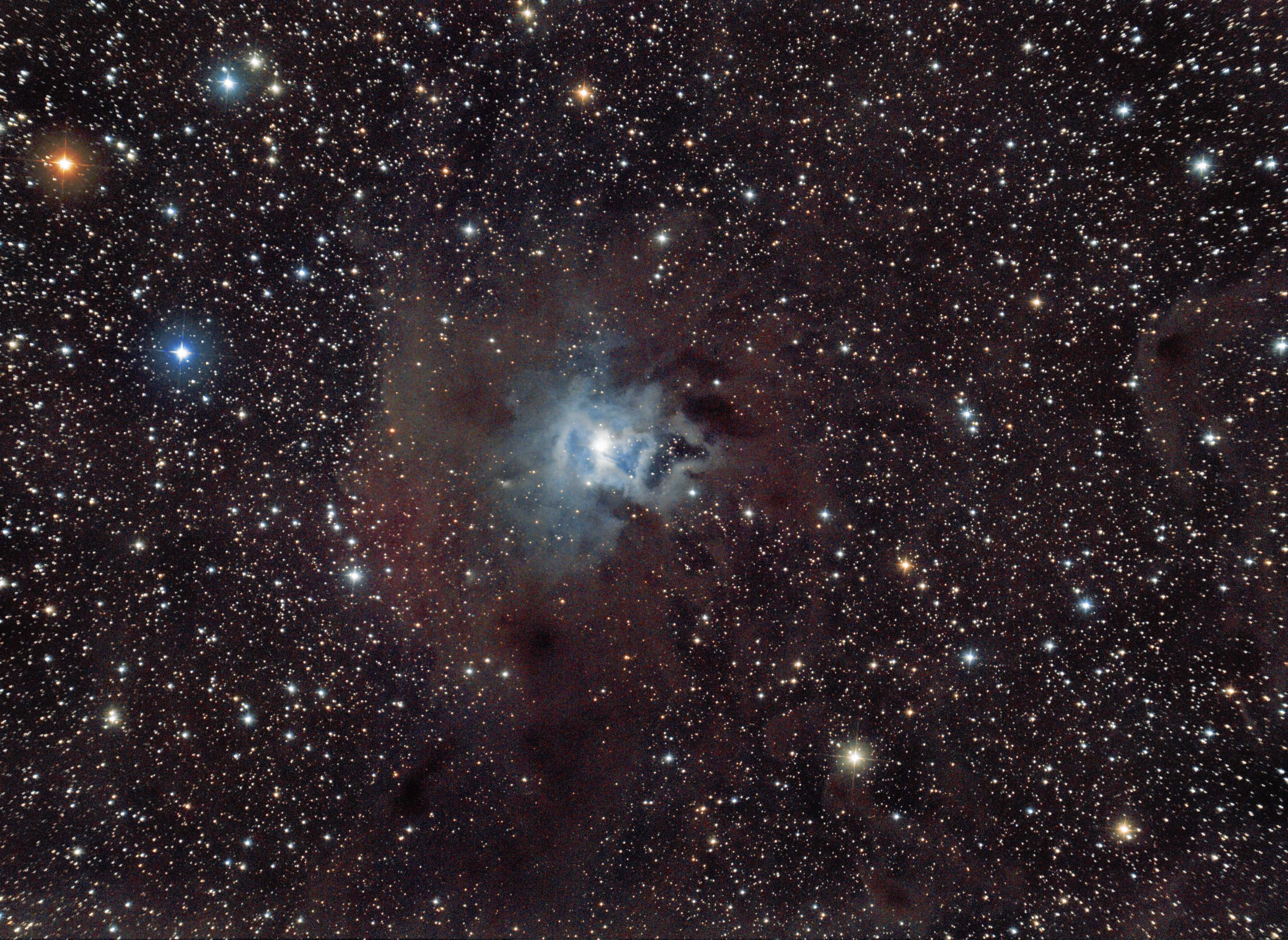 NGC 7023 <Click to enlarge>